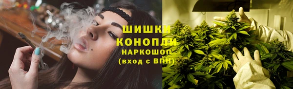 mix Инта
