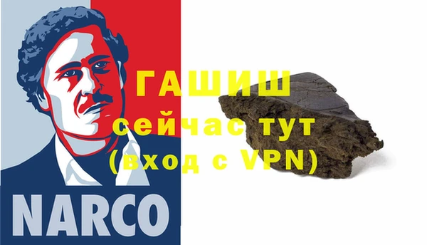 mix Инта