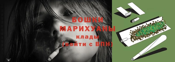 mix Инта