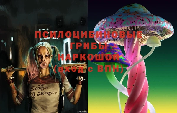 наркотики Каменка