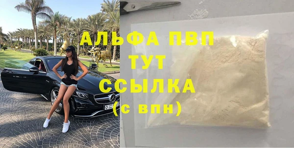 кокс Инсар