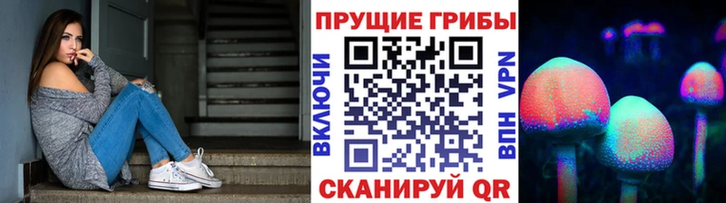 Галлюциногенные грибы Psilocybine cubensis Купить где Вуктыл